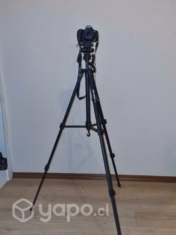 Cámara canon con tripode