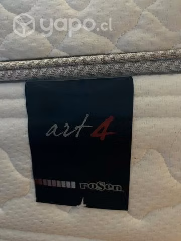 Cama art 4