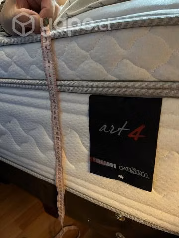 Cama art 4