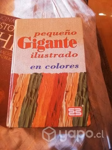 Diccionario enciclopédico