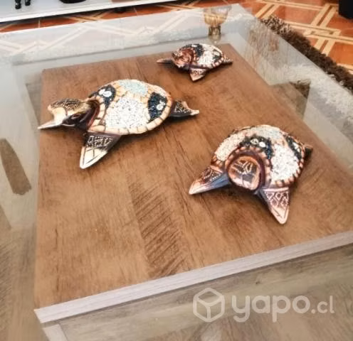 Familia de tortugas