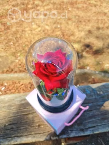Flor Artificial San valentin