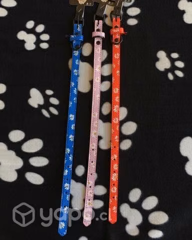 Collar Floreado Mascotas