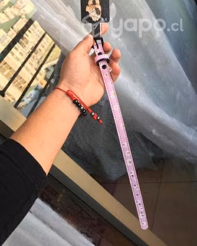 Collar Floreado Mascotas