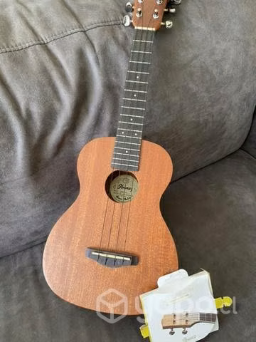 Ukelele Ibanez 10 c