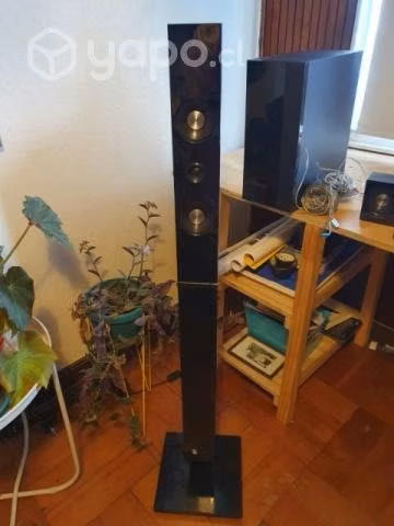 Reproductor de DVD con equipo de sonido 5.1