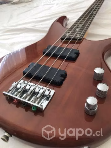 Pack Bajo Ibanez + case Excelente estado