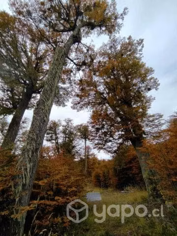 Parcela mirador lago polux