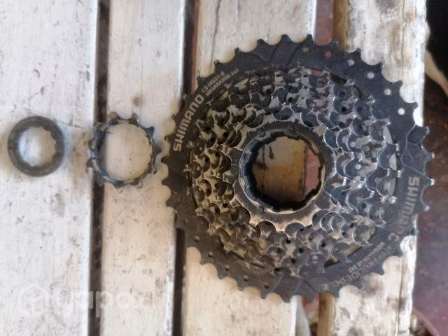 Piñon 11 34t