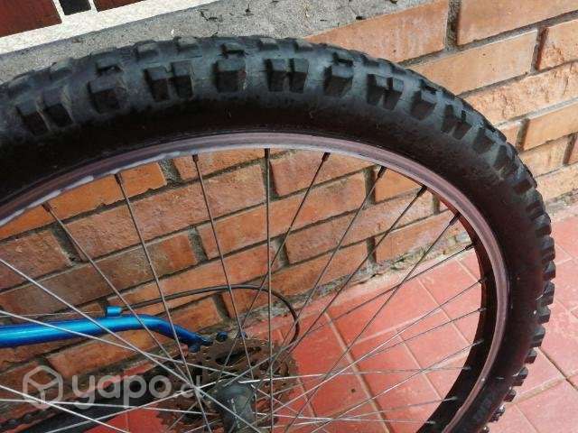 Bici bianchi - Imagen 6