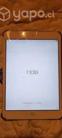 Apple Ipad mini