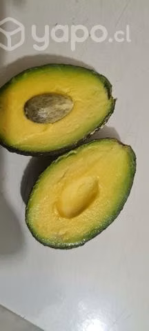 Palta hass chilena sana puro aceite lo prado