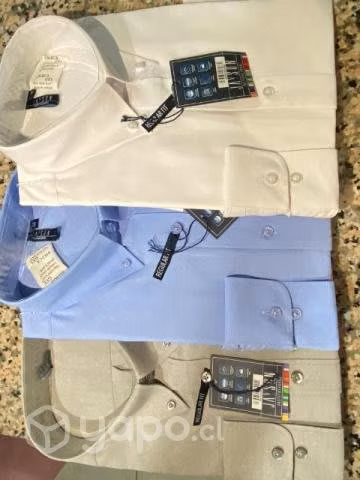 Camisas