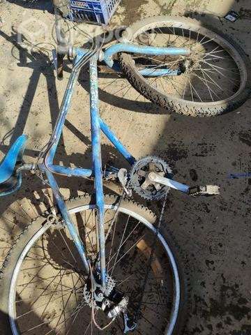 Marco de bicis - Imagen 6