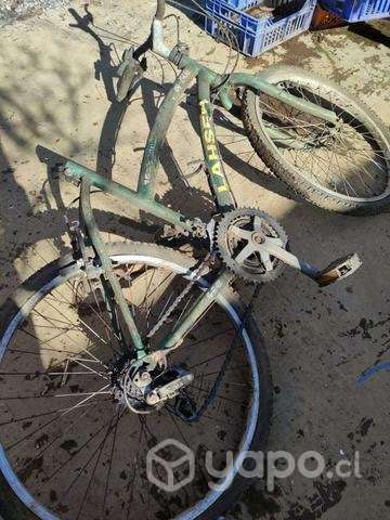 Marco de bicis - Imagen 5