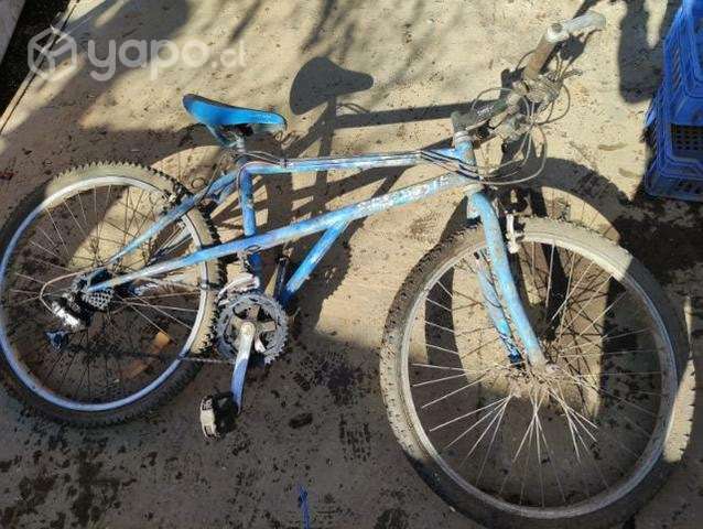 Marco de bicis - Imagen 3