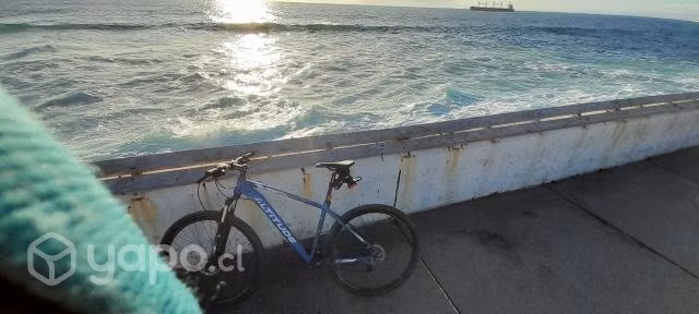 2 bicicletas 1 trek y 1 altitude
