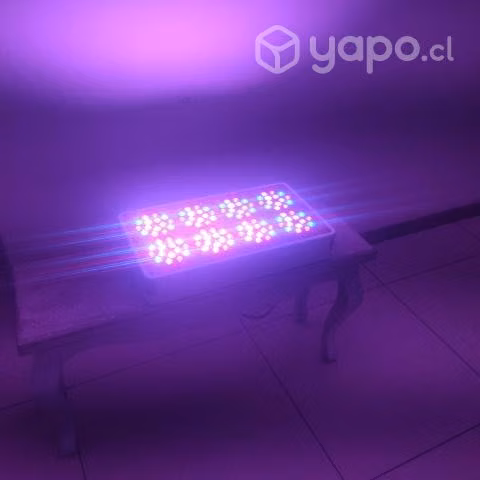 Led indoor