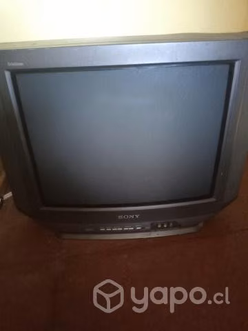Tv - Imagen 2