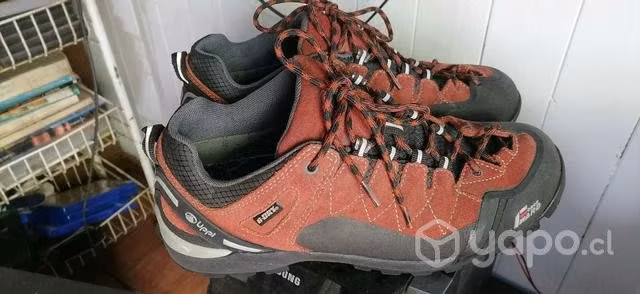 Zapatillas lippi