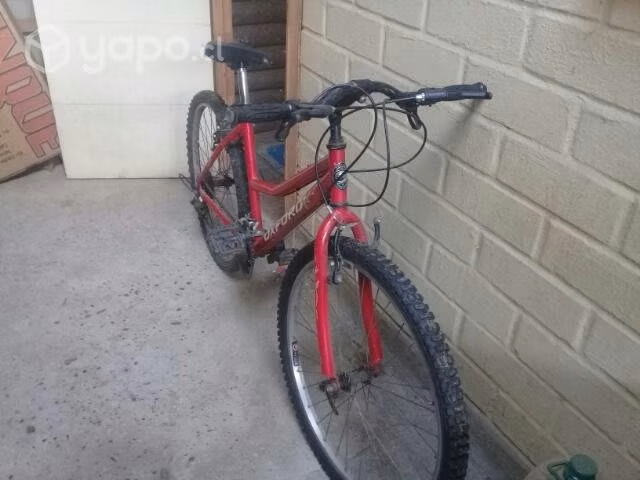 Bicicleta mujer