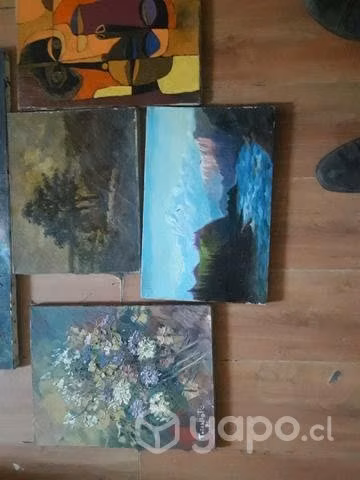 5 cuadros