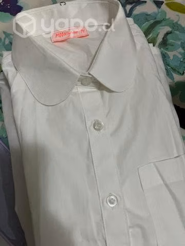 Blusa talla 14