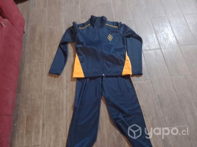 Buzo polera polar y chaqueta del liceo de niña