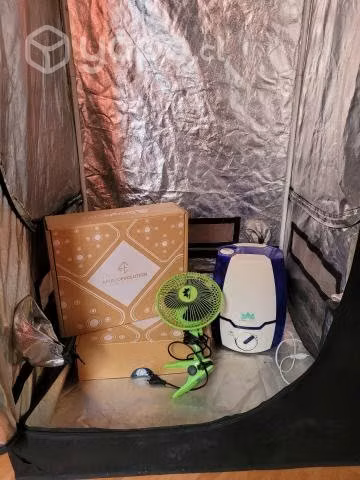 Indoor
