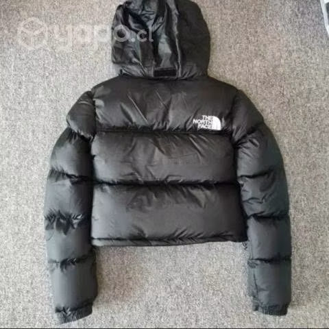 Nupse 700 crop