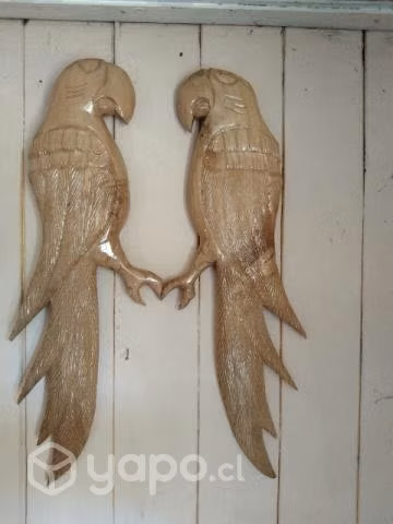 Pareja de guacamayos