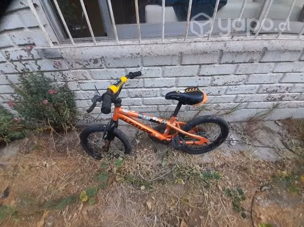 Bici montaña Altitud aro 16