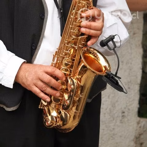 Micrófono para saxofón