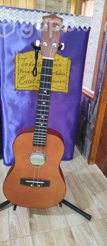 Ukelele nuevo - Imagen 2
