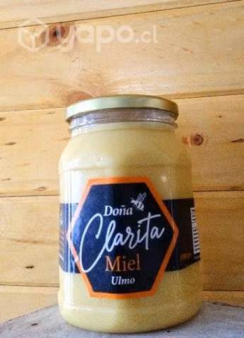Miel de Ulmo