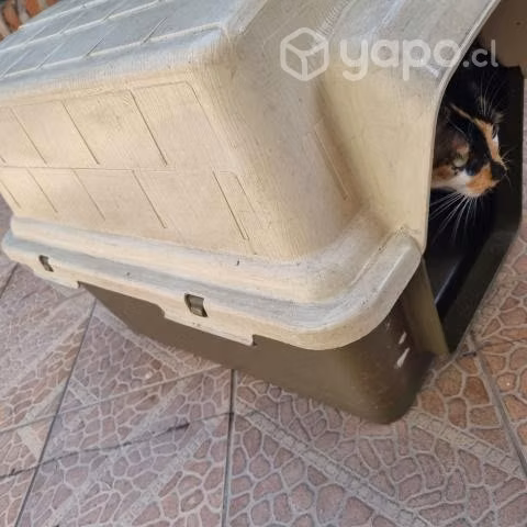 Casa perro mediana