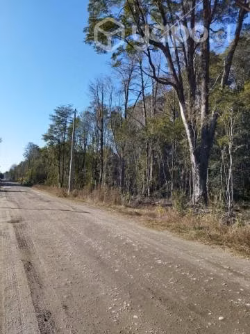 Parcela foresta monte verde