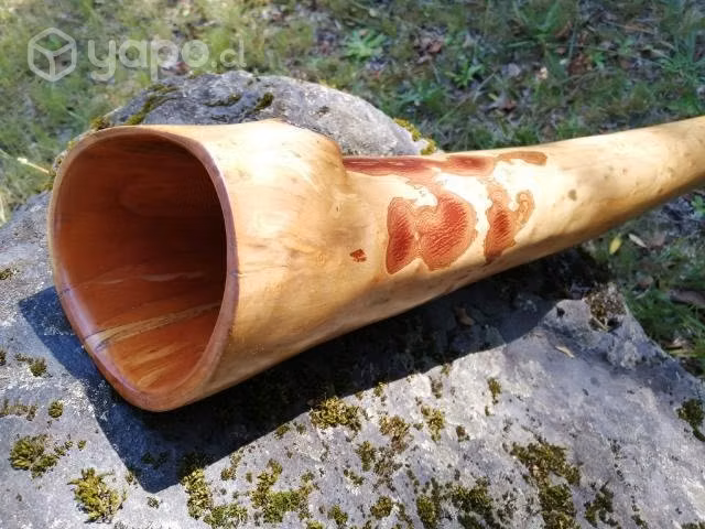 Didgeridoo profesional
