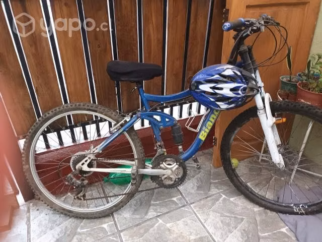 Bicicleta