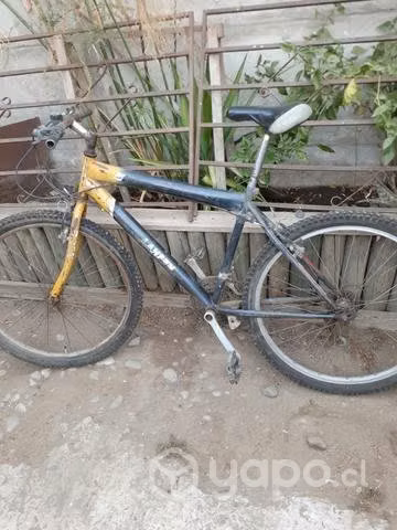 Tres bicicletas de marca