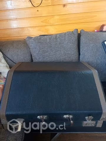 Acordeon