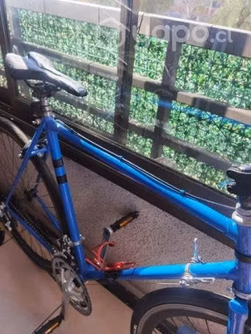 Bicicletas fixie