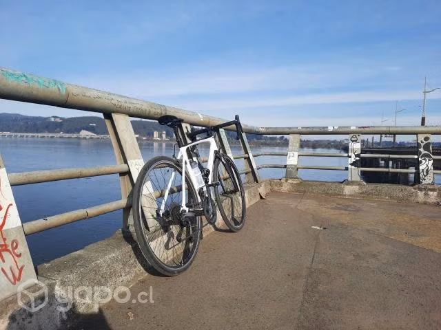 Bicicleta Scott Addict 30 2019 Carbono
