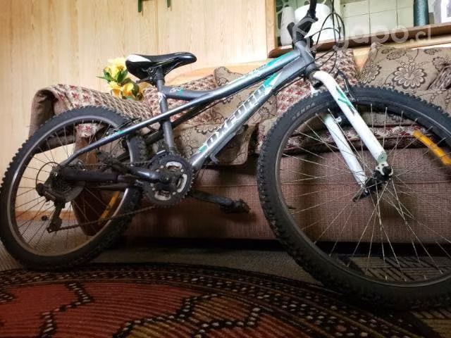 Bici oxford Aro 24
