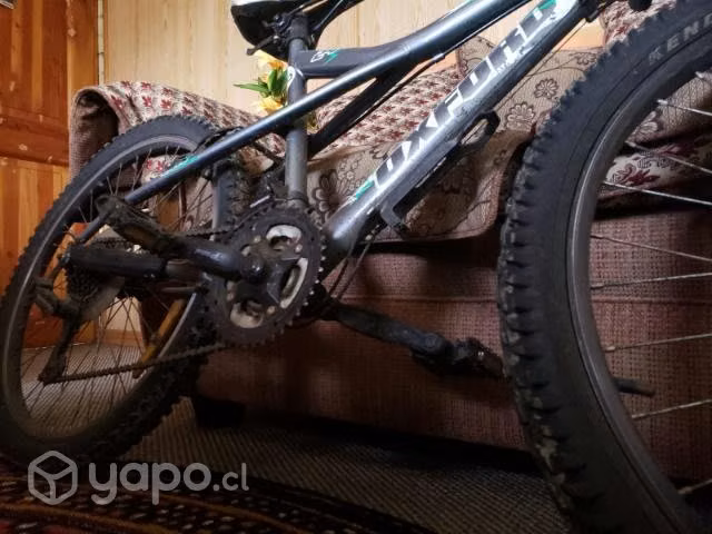Bici oxford Aro 24
