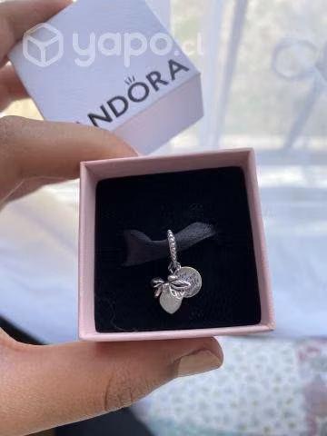 Charm pandora