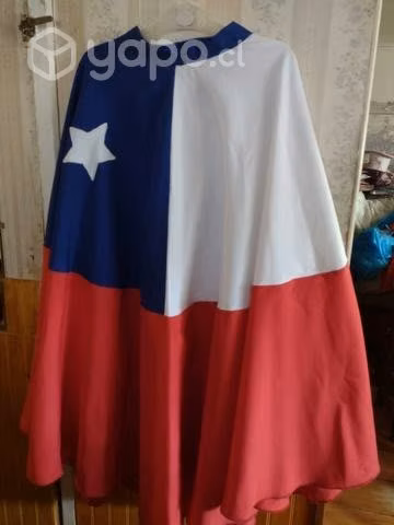 Fiestas Patrias