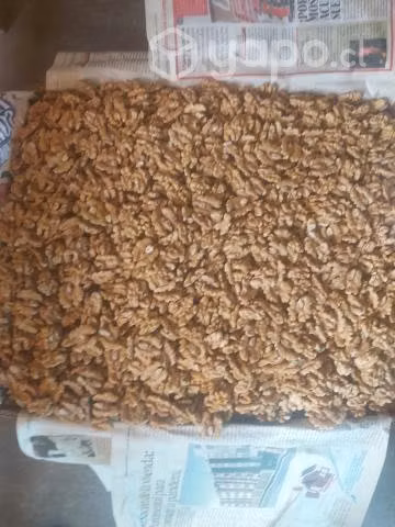 Nueces del año seca