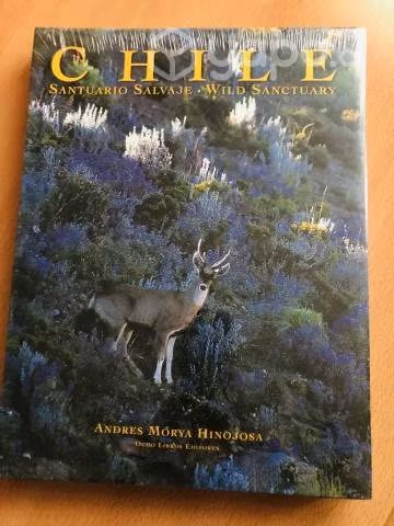 Maravilloso libro de naturaleza chilena