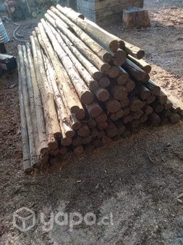 Tutores impregnados